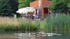 Foto: Forellenhof Rottstock Foto: Forellenhof Rottstock